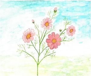 [중_동상]국화_신영임_나의핑크빛꿈을활짝 